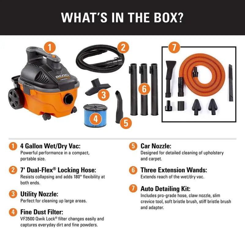 Pilea nummulariifolia ‘Creeping Charlie’