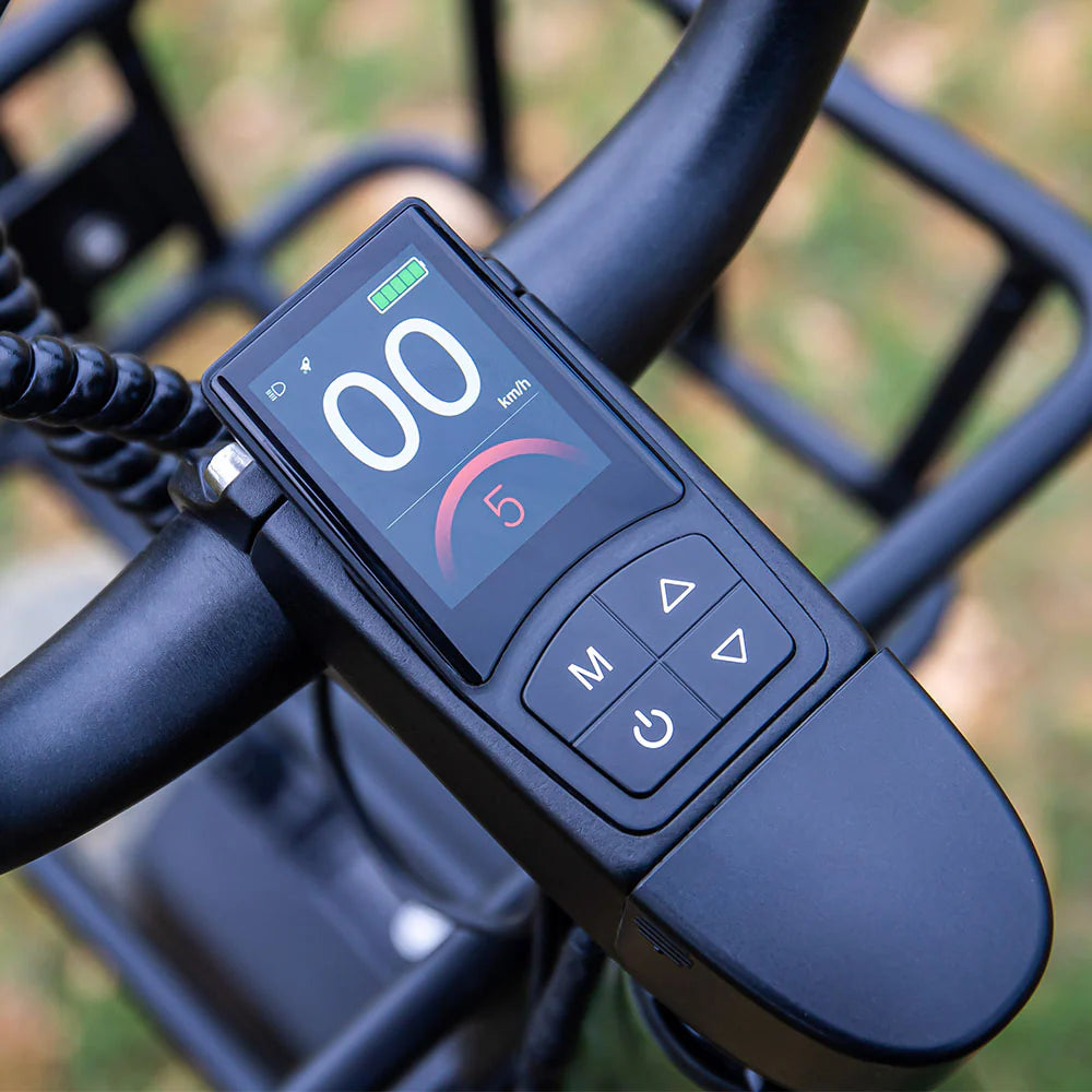 Fiido T1 Pro Cargo Electric Bike Fat Bike Utility