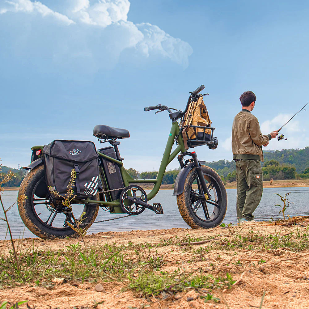 Fiido T1 Pro Cargo Electric Bike Fat Bike Utility