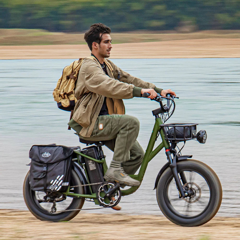 Fiido T1 Pro Cargo Electric Bike Fat Bike Utility